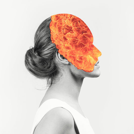 Agent Fresco "Destrier" CD-Bundle "See Hell"