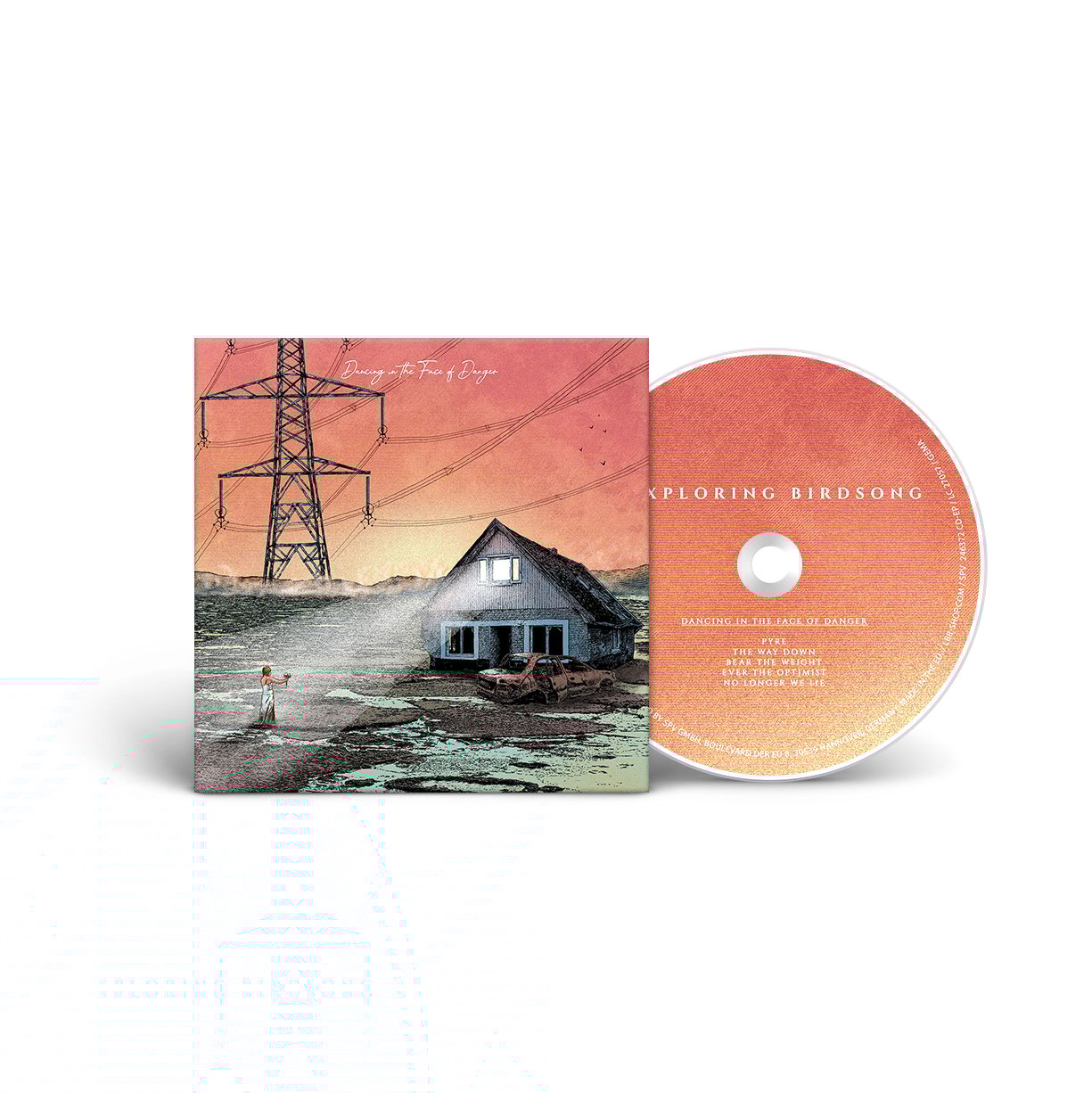Exploring Birdsong "Dancing in the Face of Danger / The Thing With Feathers" CD-LP-Bundle "Building"