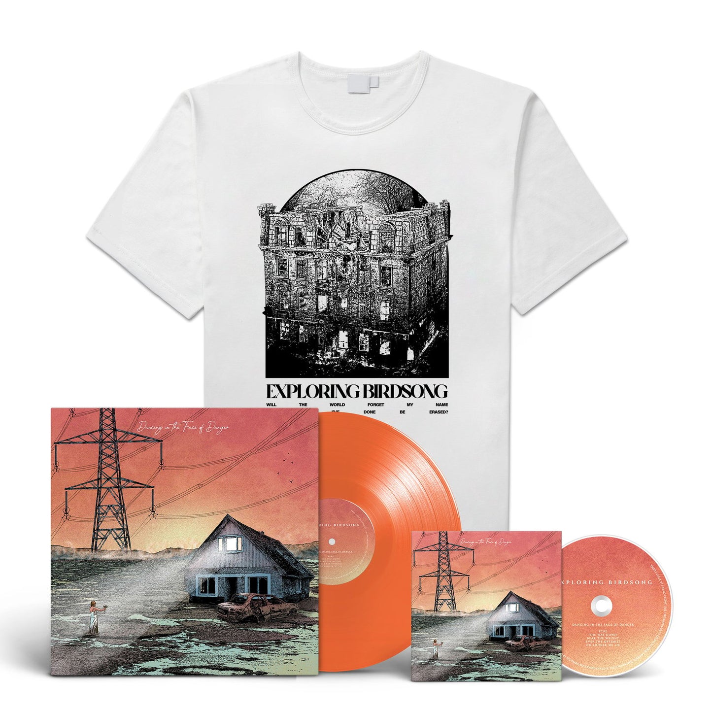Exploring Birdsong "Dancing in the Face of Danger / The Thing With Feathers" CD-LP-Bundle "Building"