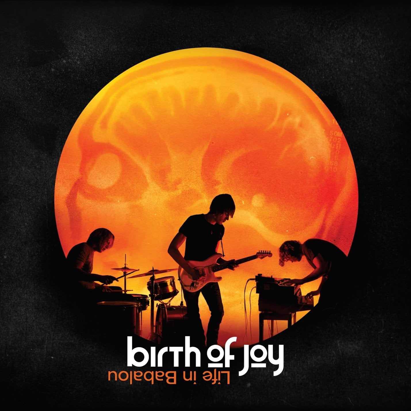 Birth Of Joy "Life In Babalou" LP