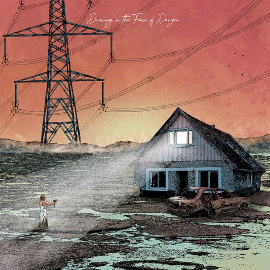 Exploring Birdsong "Dancing in the Face of Danger / The Thing With Feathers" LP