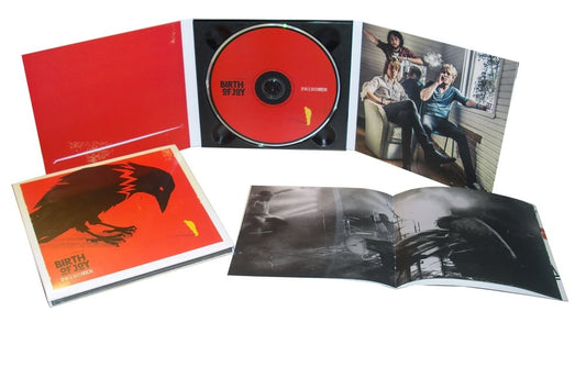 Birth Of Joy "Prisoner" CD