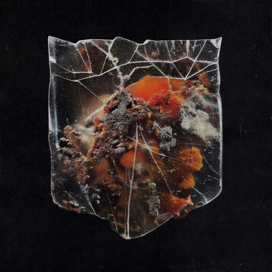 Shields "Death & Connection" LP