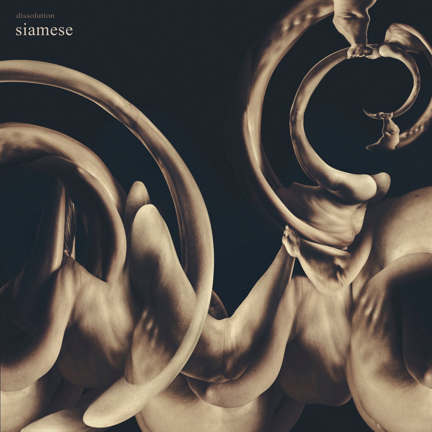 Siamese "dissolution" LP-Shirt-Bundle "dissolution"