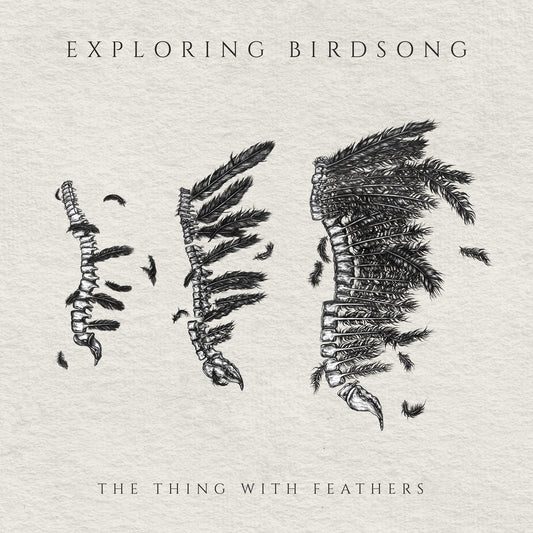 Exploring Birdsong "The Thing With Feathers" EP